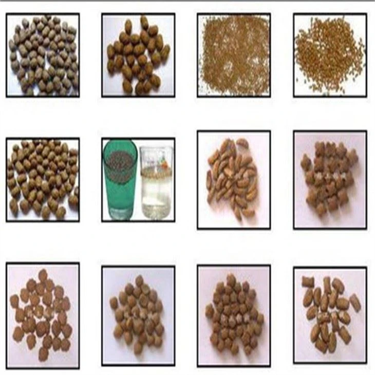 Fish Feed Extruder