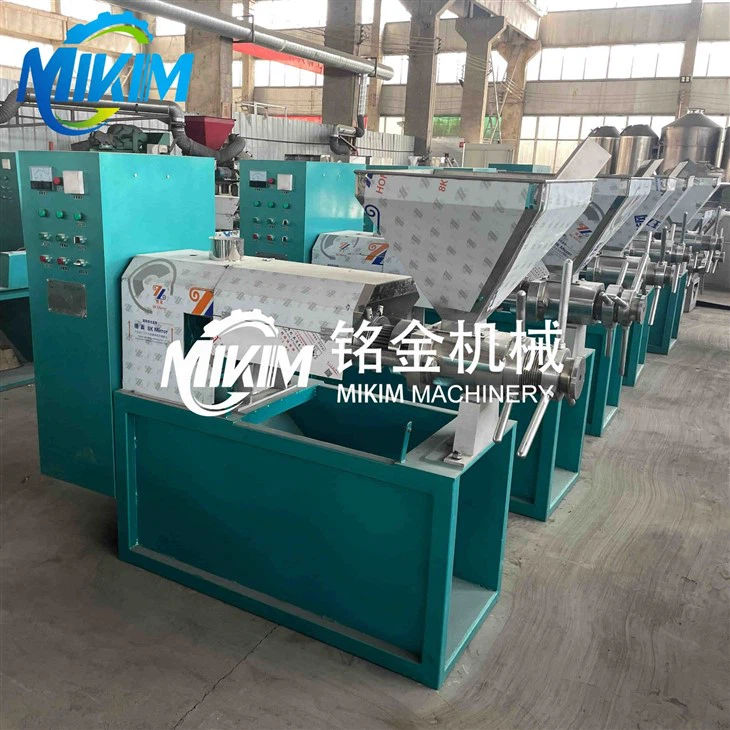 Castor Oil Extraction Machine